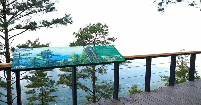EGCO Group by Thai Conservation of Forest Foundation completes and hands over "Doi Pui Summit Nature Trail," Chiang Mai's backyard forest and accessible eco-historical learning center