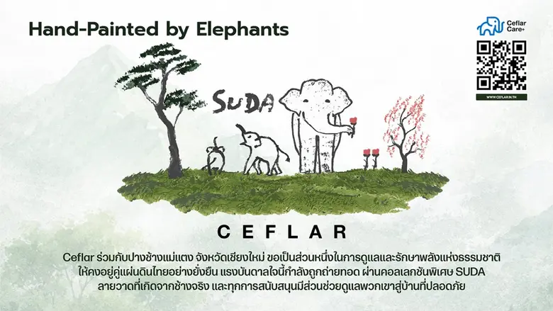 "เคฟล่า" จับมือ "ปางช้างแม่แตง" เปิดตัวคอลเลกชันพิเศษ CEFLAR x SUDA เครื่องใช้ไฟฟ้าจากศิลปะช้างไทย ร่วมสมทบทุนสร้างโรงพยาบาลช้างเชียงใหม่